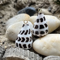 Coquillages coniques hébreux naturels d'Hawaï Conus Ebraeus Pendentif en acier inoxydable DIY Boucles d'oreilles de créateur Charmes de bijoux
