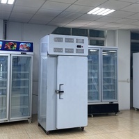Groothandel Betrouwbare ventilator-gekoelde snelvriezer voor vis, vlees en kip met hoog rendement Tecumseh compressor