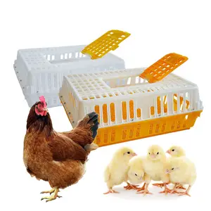 Factory Reusable Container Poultry Carrier Chicken Transport Crate Poultry Transport For Chicken Chick