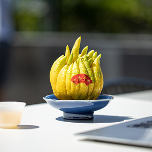 Ceramic Buddha's Hand Citron <b>Tray</b> Porcelain Fruit Platter Retro Zen Style <b>Snack</b> Dish - Product Image 4