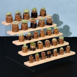 Étagère à plusieurs niveaux en acrylique pour pots de plantes succulentes, organiseur de bureau, étagère en bois à 5 niveaux avec support transparent - Product Image 1
