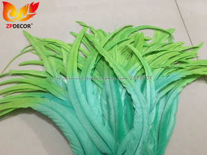 ZPDECOR - Plumas de <span class=keywords><strong>Gallo</strong></span> Coque al por Mayor, 35-40 cm, Teñidas de Turquesa con Verde Lima, para Disfraces de Samba y Carnaval - Product Image 3