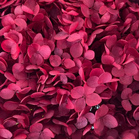 Usine En Gros Hortensia Bleu Velours Boîte Blanc Rouge Séché Hortensia Pétales Fleurs pour Mariage Décor À La Maison