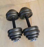 Ensemble d'haltères en fonte peinte de 30 kg de haute qualité pour la musculation en gros