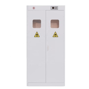 Gabinete de Acero <span class=keywords><strong>para</strong></span> Cilindros de Gas de Doble Puerta y Dos Botellas <span class=keywords><strong>para</strong></span> <span class=keywords><strong>Laboratorio</strong></span>, Industria Química y Medicina, con Sistema de Alarma - Product Image 1