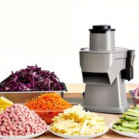 Nouveau Hachoir Manuel Ondulé en Acier Inoxydable pour Légumes, Coupe-Pommes de Terre, Couteau à Trancher, Hachoir Électrique 220V pour Aliments, Vente Chaude