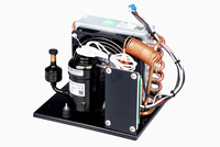 Mini-réfrigérateur de vaccins TIBO CS-0307, refroidisseur d'eau alimenté par moteur 12V/24V/48V et machine à crème glacée