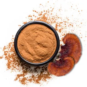 Extrait de plante Extrait de champignon médicinal <span class=keywords><strong>Essence</strong></span> de Reishi rouge Champignon Lingzhi Reishi Vertus Poudre de spores brisant les murs - Product Image 1