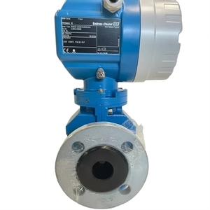 電磁流量計 流量計機器 エンドレス+ハウザー プロライン プロマグ W 10 流量計 - Product Image 3