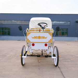 Calèche royale de mariage, calèche de tourisme pour passagers, calèche de parc, modèle européen, à vendre - Product Image 2