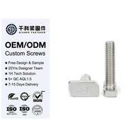 A2-70t Bolt A4-80 304 316 305 309S Stainless Steel Plain Finish Zinc T-Head Metric Thread
