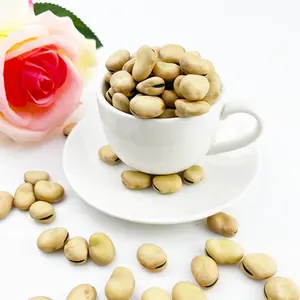 China wholesale Dried fava beans canned fava beans High Quality Fava Bean
