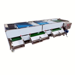 High Efficiency Cherry Blueberry Sorting and Grading Machine <b>Cranberry</b> Peanut Sorter Grader Machine - Product Image 3