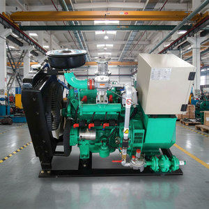 Pemasok Generator Gas yang Andal - Generator Cumins Khusus untuk Gas Alam & Biogas untuk Pasar <span class=keywords><strong>Global</strong></span> dengan Layanan Komprehensif - Product Image 1