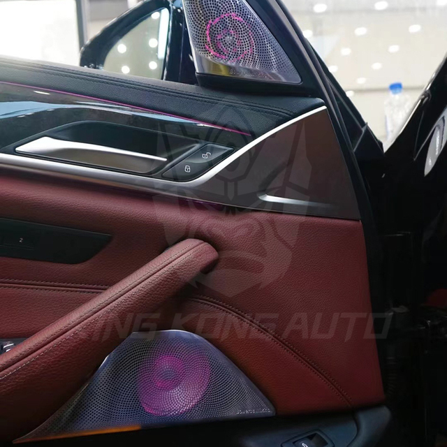 Chinese Manufacturer Sell Auto Car Interior Ambient Light Set Cover Panel for BMW3 Series