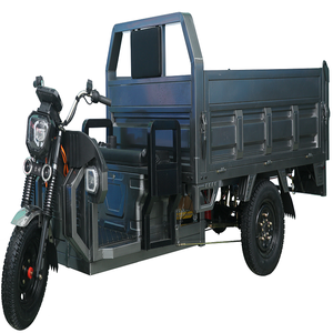 Cargo électrique populaire de tricycles de trois roues avec la puissance forte pour des adultes - Product Image 4