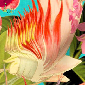 Tessuto 100% Rayon Estivo Hawaiano Tropicale con Stampa Giungla e Isola, Motivo Foglie di Palma Floreali, Tecnica Tessuta per Abiti da Bambina - Product Image 2