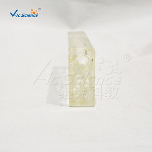 Spécimen de squelette de lapin ; modèle d'enseignement de l'anatomie animale ; outil pédagogique pour les laboratoires scolaires. - Product Image 3