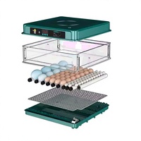 Nouveau design 2025 – Incubateur mini entièrement automatique 130 œufs, retournement automatique des œufs, matériau PP, taux d'éclosion de 98 % pour poulets
