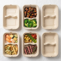 Ecologisch afbreekbare 2-delige binnenbak van suikerrietbagasse, compartimentenverdeler voor afhaalmaaltijden, deksel voor maaltijddoos