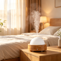 Diffuseur d'arômes ultrasonique de table, type USB, facile à déplacer, avec lumière nocturne à 7 couleurs, humidificateur d'huiles essentielles pour aromathérapie