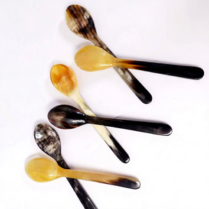 Luxury Buffalo Horn Spoons Unique Design Natural Horn Spoons Set of 6 Long Handle Vintage Design Mirror Polish Tea Spoons - Product Image 1