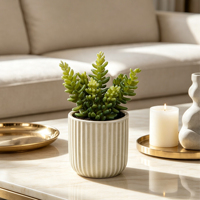 Promotion : Mini Plante Succulente Artificielle en Pot, Faux Bonsaï Succulent en Pot Céramique, Décoration de Table pour la Maison à Prix Abordable