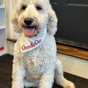 Personalisiertes Einfarbiges Grünes Cord-Hundehalstuch mit Stickerei und Druckknopfverschluss als Weihnachts- und Halloween-Geschenk für Neue Hundemamas - Product Image 2