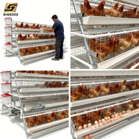 Cage à poules et volailles pour élevage, cages en batterie pour poulets, équipements de galvanisation pour l'élevage de poulets