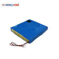 Batterie au lithium-ion LiFePO4 LFP 24V 30Ah pour système solaire, éclairage extérieur, caméra de sécurité, outils électriques