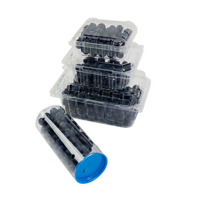 125g/250g Clear Plastic Clamshell Blueberry Container, Disposable PET Fruit Packaging Box with Vents for Fresh Berry Produce