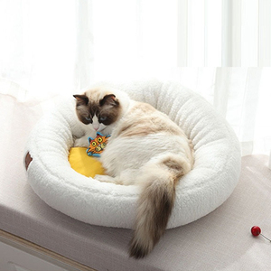 egg shaped cat bed