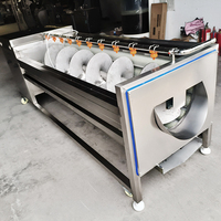 Automatische Parallelle Borstelrolwasser Schilmachine voor Gember, Aardappel, Wortel en Andere Wortelgewassen - Ideale Voedselverwerkingslijnapparatuur
