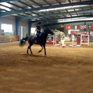 Struttura in Acciaio Leggero Prefabbricata Q235B per Palazzetti dello Sport e Stadi di Calcio, Facile Installazione con Saldatura, Taglio e Piegatura - Product Image 5