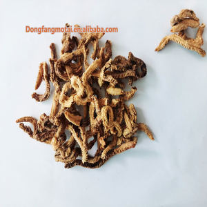 Señuelo de Pesca Ecológico de ABS, Cebo de Gusano de Seda Vivo Seco, Señuelo de Madera y Plástico para Pesca de Trucha, Carpa, Lucio, Perca y Camarones en Ríos y Lagos - Product Image 5