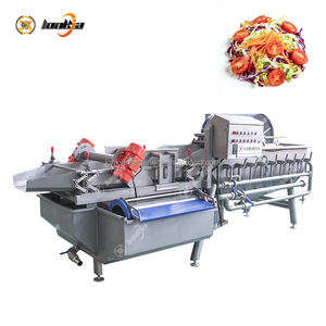 モジュール設計と簡単な操作を備えた自動ニンジン・チェリートマト・葉物野菜サラダ加工ライン - Product Image 5