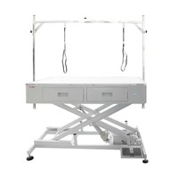 Table de toilettage pour chien électrique réglable Shernbao FT-879 avec lumière LED et 4 tiroirs, station de toilettage professionnelle pour animaux de compagnie