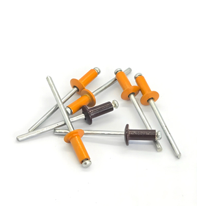 Ancre Nailin industrielle, vente chaude, en aluminium et acier inoxydable, <span class=keywords><strong>rivet</strong></span> aveugle coloré, vis d'ancrage pour béton, goujon mural industriel - Product Image 2