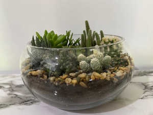 Terrarium en verre géométrique forêt bol ouvert <span class=keywords><strong>original</strong></span> Pentagone en or clair Vase à fleurs en verre - Product Image 4