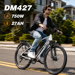 Bicicleta Eléctrica DM427 48V27AH 27.5" 750W Bicicleta Eléctrica Urbana con 108km de Autonomía, Control de Velocidad y Estabilidad, E-MTB - Product Image 1