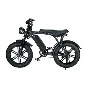 Hybrid sepeda salju 20 inci, ban sepeda lemak elektrik 750W 48V 15ah baterai ganda 30ah