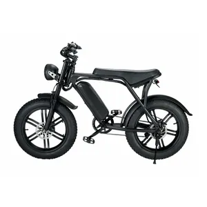 הנמכר ביותר מלאי מוכן היברידי ebike שלג אופניים 750W 48V 15ah 30Ah כפולה סוללה 20 אינץ חשמלי שומן צמיג אופניים