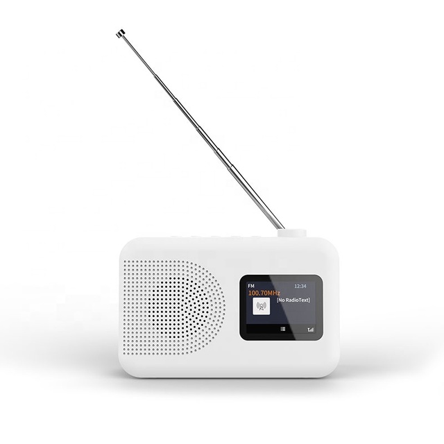 Modern 2.4 Inch Portable Radio with DAB FM and for Bluetooth New Design TFT Display Battery Operated Home Fm Radio