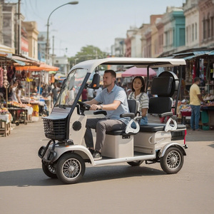 Holladay Ebike Quadricycle Urbain à 4 Roues avec Toit Amortisseur, Mini Scooter, Voiturette de Golf pour Adultes, Ebike 4 Roues - Product Image 5
