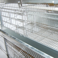 Prix d'usine galvanisé fer treillis métallique poulailler automatique ferme Cage couche poulets soudé en acier forme de trou carré clôture