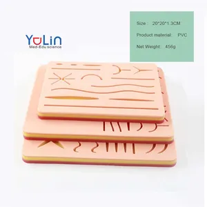 Factory Scientific medical anatomy model human skin model new medical suture pad college teaching resources equipment
