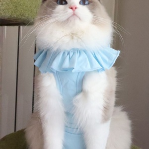 <span class=keywords><strong>Camiseta</strong></span> de Recuperación para Mascotas de Algodón Suave, Ropa Transpirable para Gatos Postoperatorios, Traje Lavable Postoperatorio para Perros Machos - Product Image 2