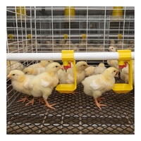 Cages à poussins WIN, cages d'élevage pour 20 000 poussins, 3/4 niveaux, type A, pour l'élevage avicole, conception directe usine