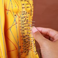 Modèle d'acupuncture du corps humain de 53 cm, modèle pédagogique chinois des points de pression pour les acupuncteurs, CE/ISO