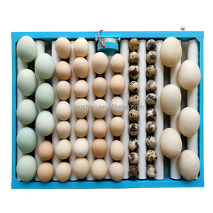 Nouveau plateau de rotation d'oeufs de conception dans des <span class=keywords><strong>pièces</strong></span> de rechange d'incubateur à vendre - Product Image 5